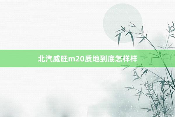 北汽威旺m20质地到底怎样样